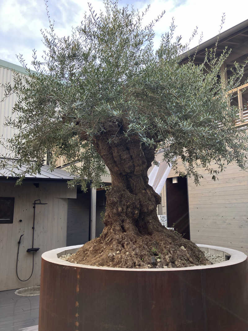 otgさんのsauna kolme kylä (サウナ コルメ キュラ)のサ活写真