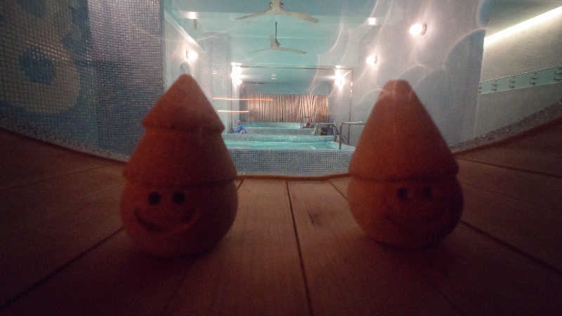 おりぴぽさんの8HOTEL 湘南藤沢のサ活写真