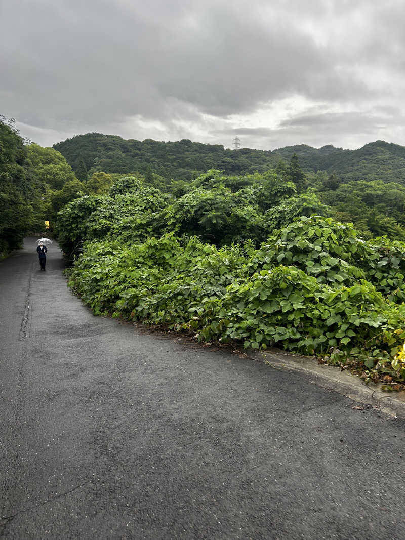 よしさんの御船山楽園ホテル  らかんの湯のサ活写真