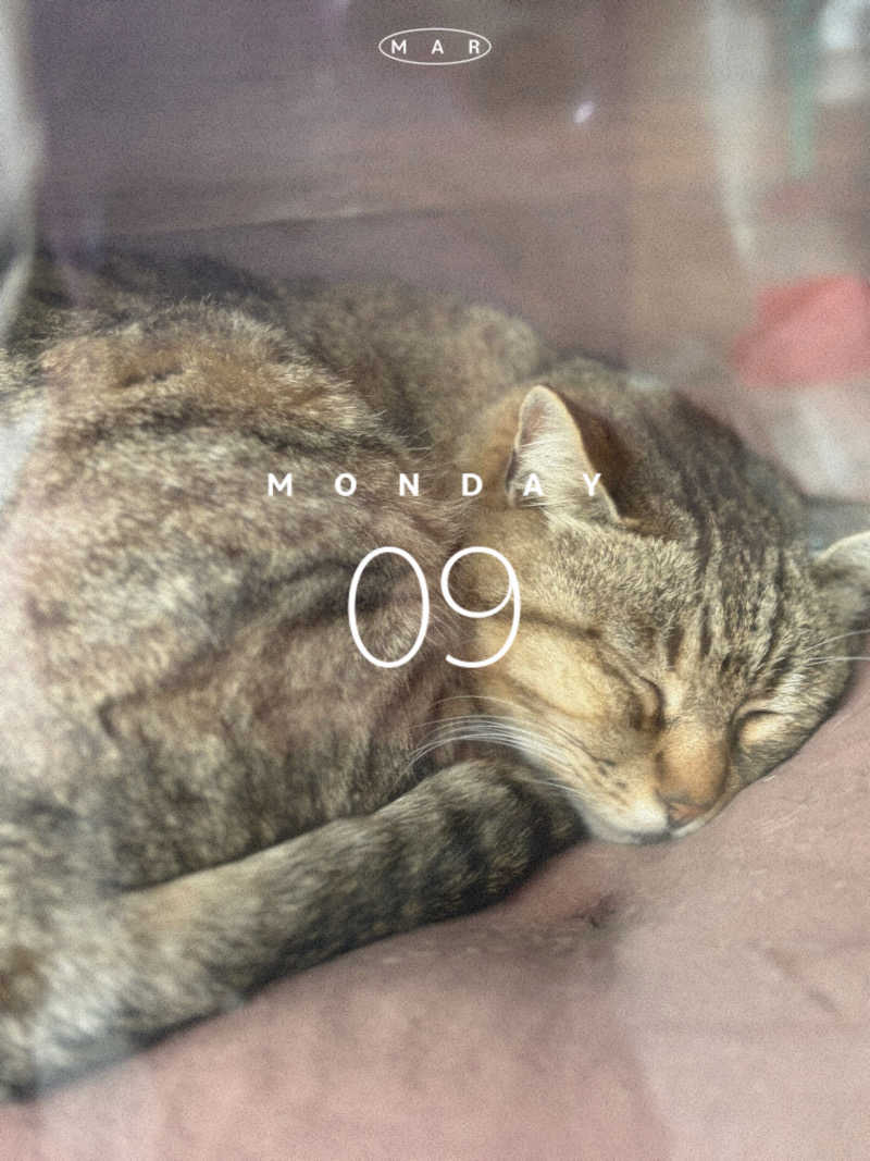 にゃごんさんのカルナパーク花立山温泉のサ活写真