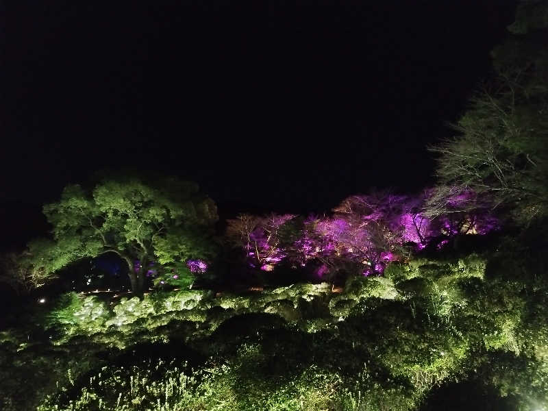 コンサドーレサウナ部【非公認】🔴⚫🦉さんの御船山楽園ホテル  らかんの湯のサ活写真