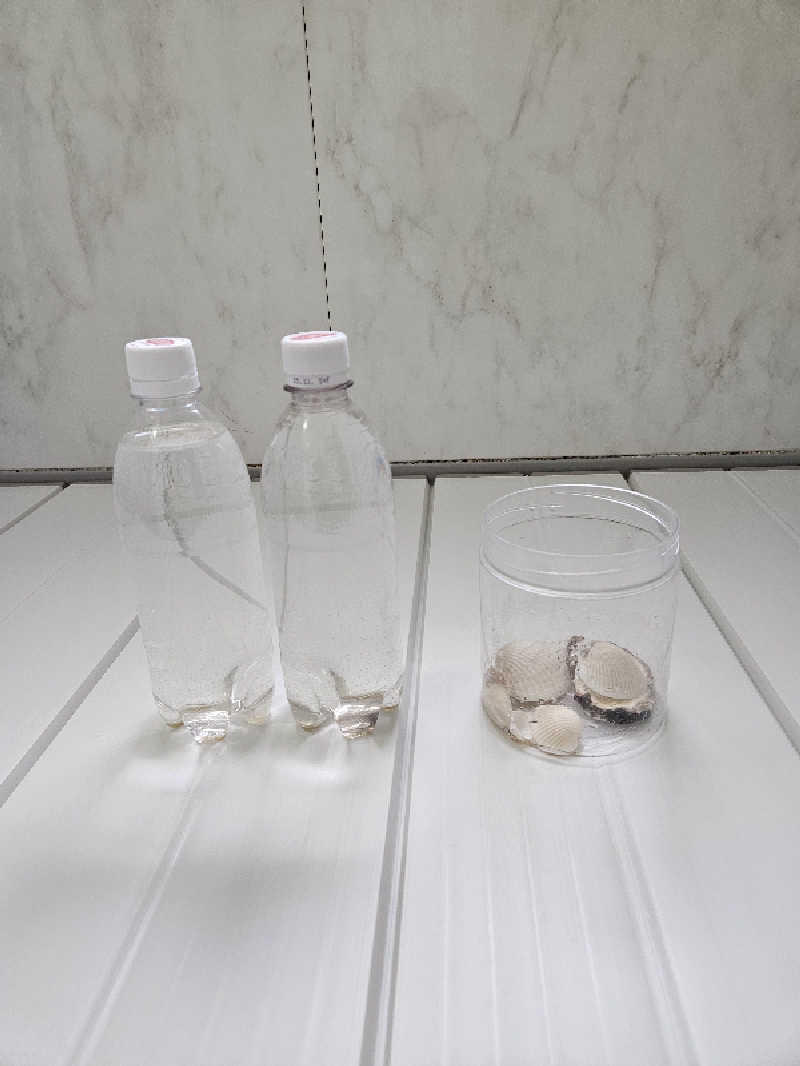 のり310さんのクアドーム ザ・ブーンのサ活写真