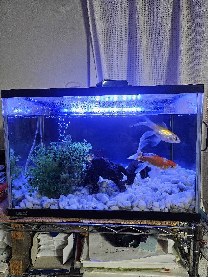 のり310さんのおふろランド北上のサ活写真