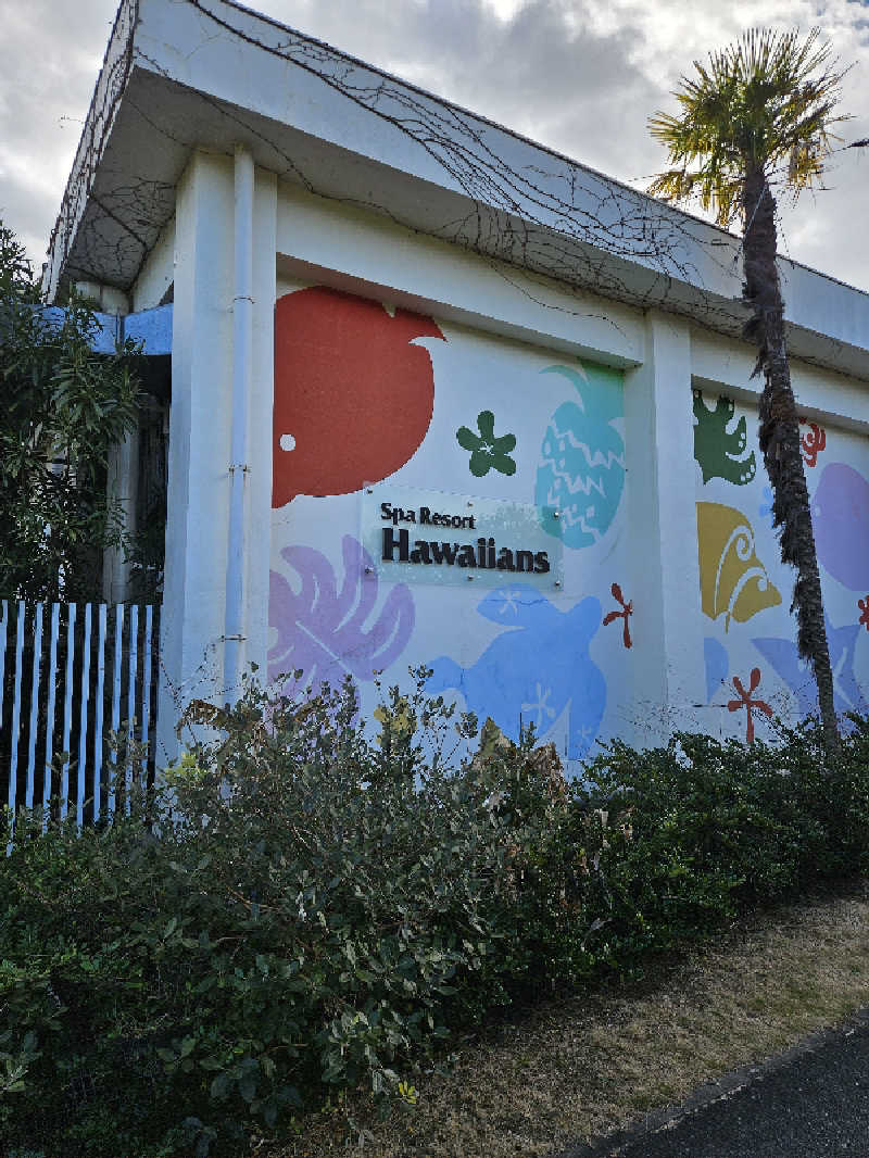 のり310さんのスパリゾートハワイアンズのサ活写真