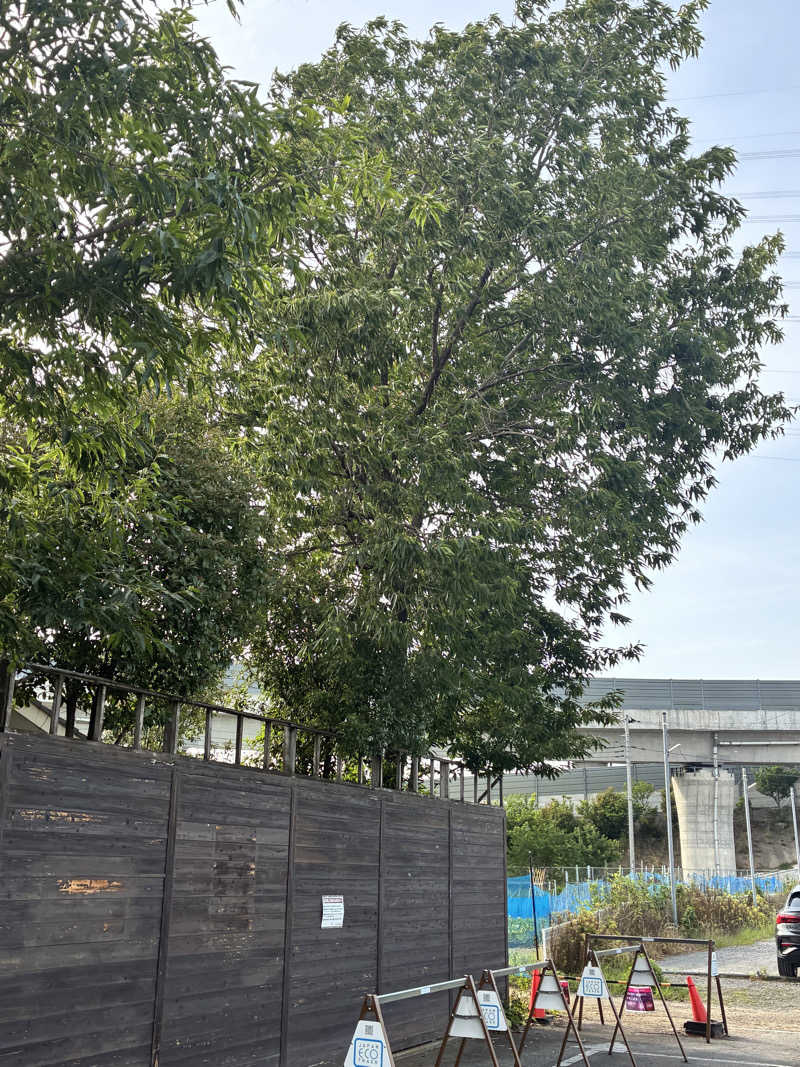 なのですさんのOYUGIWA海老名のサ活写真