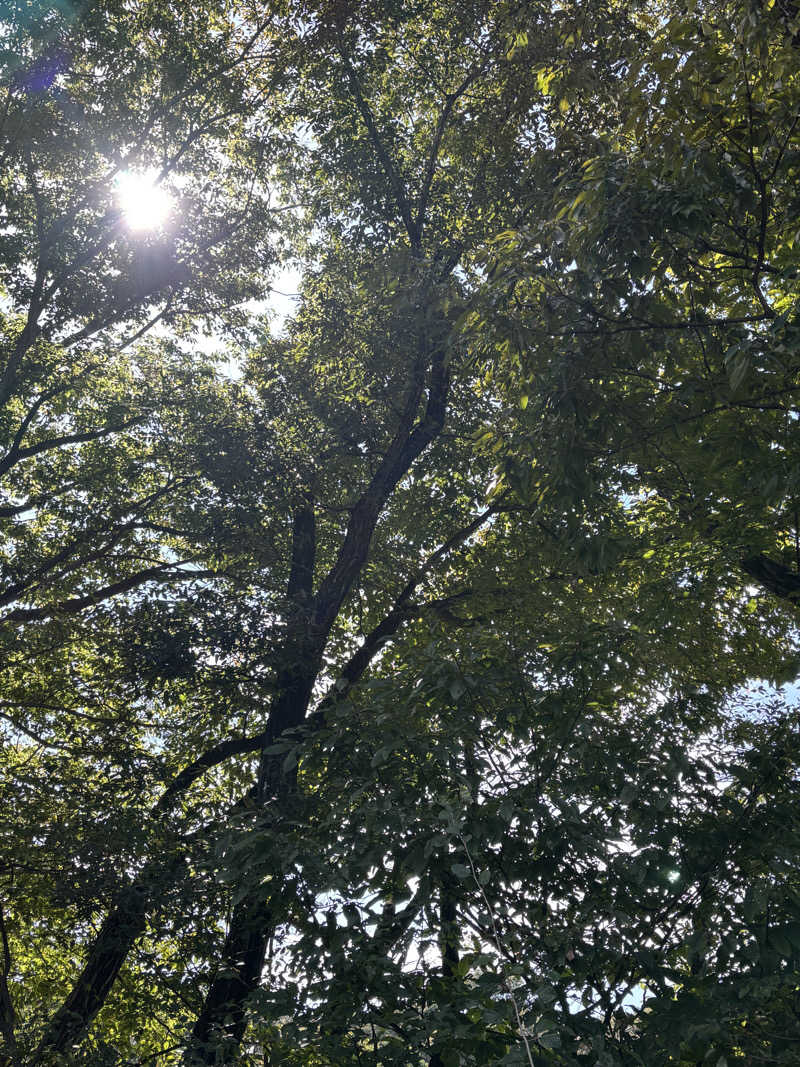 麦茶んさんの弓乃湯のサ活写真