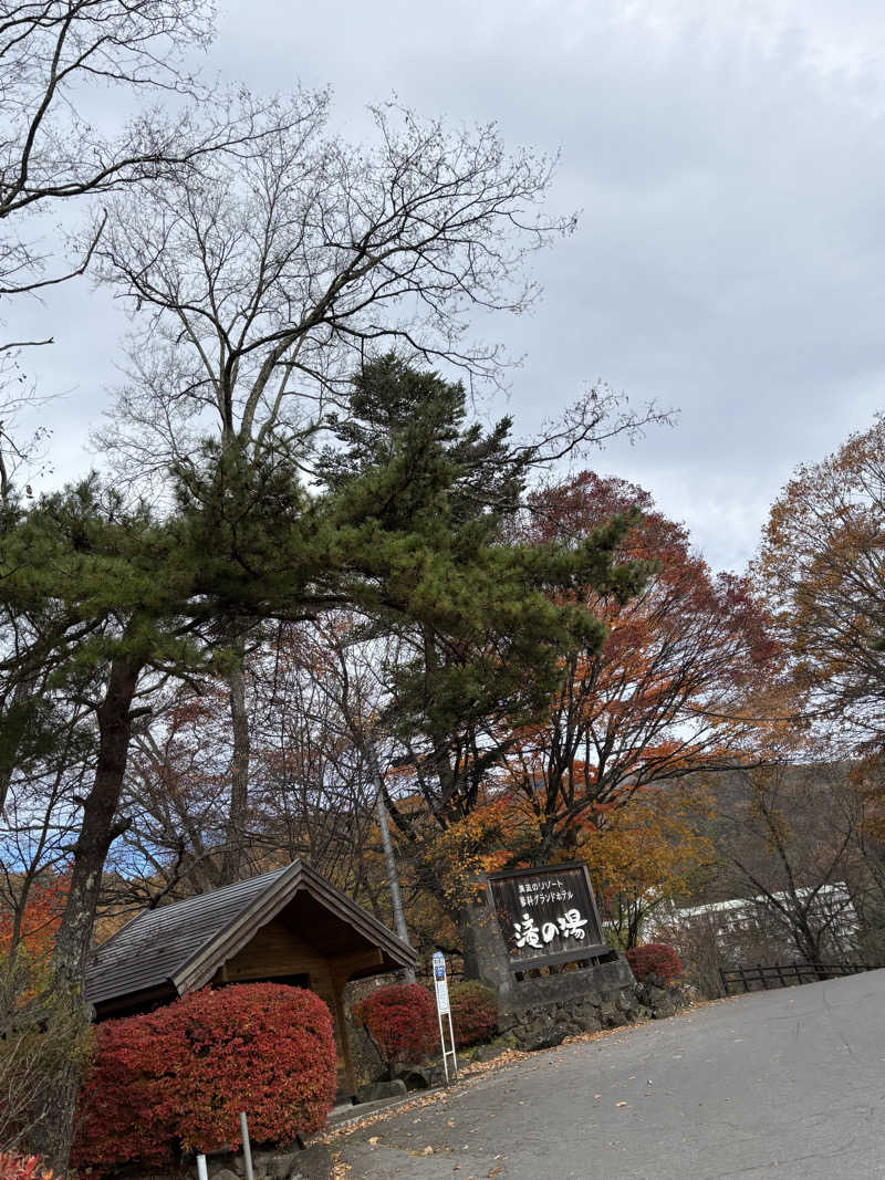 麦茶んさんの蓼科グランドホテル滝の湯のサ活写真