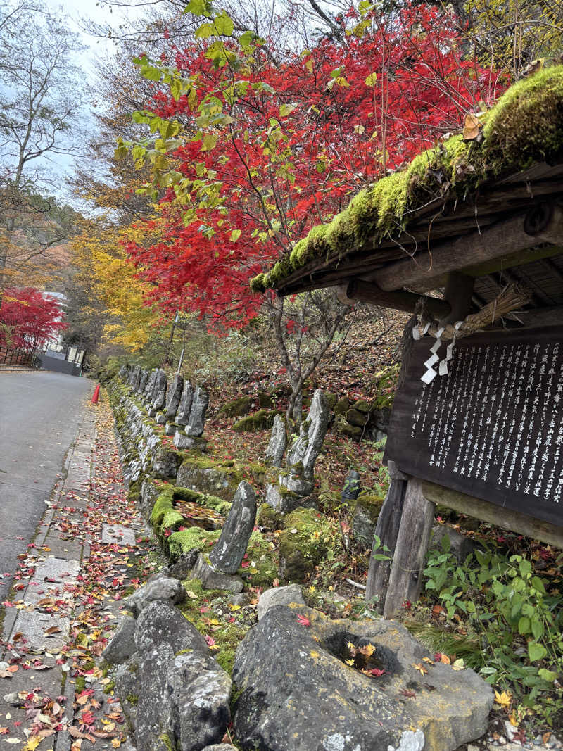 麦茶んさんの蓼科グランドホテル滝の湯のサ活写真