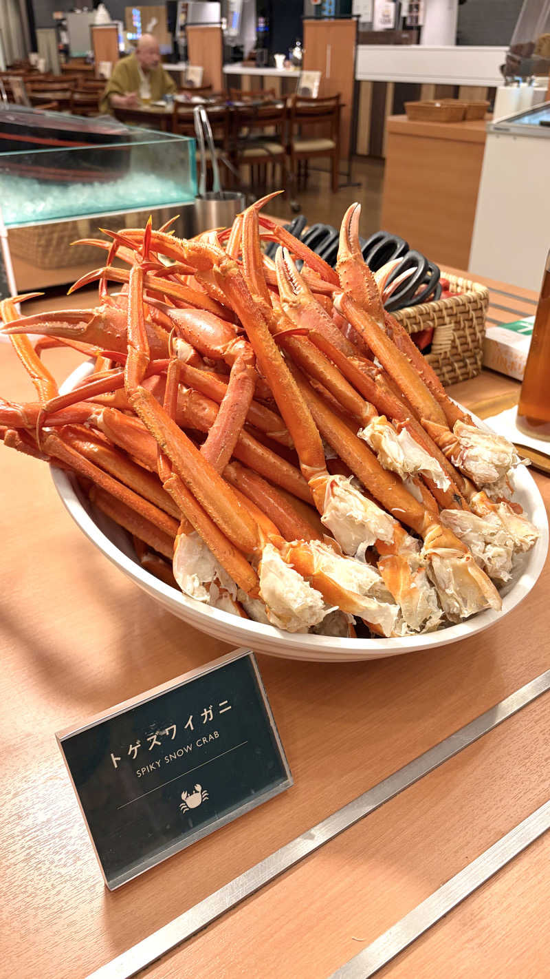 やすださんの美白の湯宿 大江本家のサ活写真