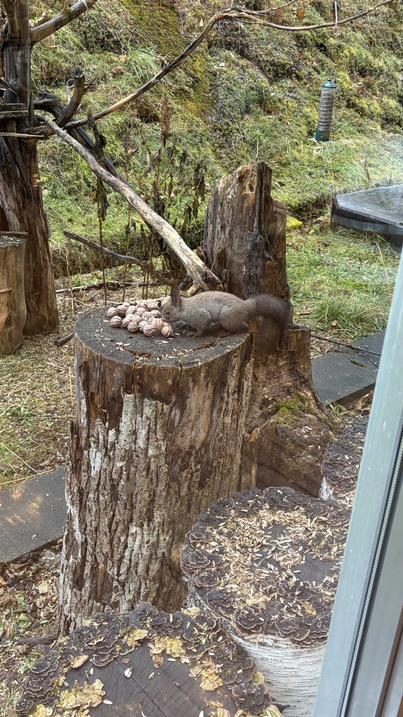 やすださんの美白の湯宿 大江本家のサ活写真