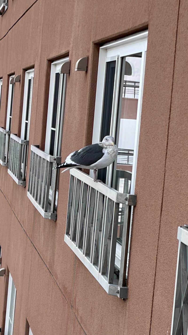 やすださんの洞爺湖万世閣 ホテルレイクサイドテラスのサ活写真