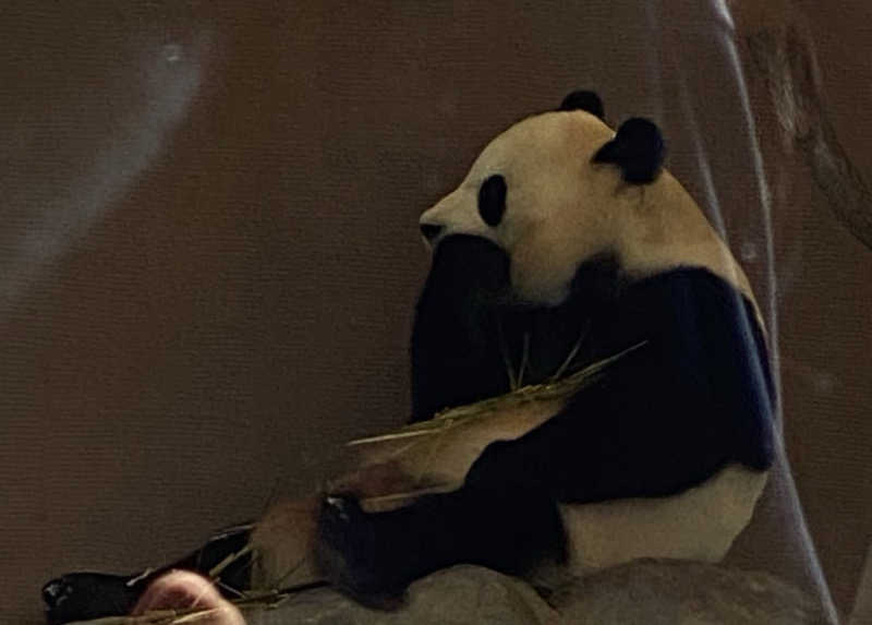 えぬさんのとれとれの湯のサ活写真
