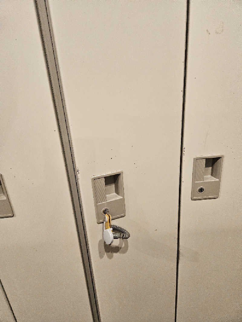 ヒゲオさんのサウナ&カプセルホテル 北欧のサ活写真