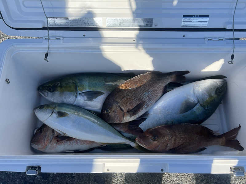 なかむ〜さんのはだの・湯河原温泉 万葉の湯のサ活写真