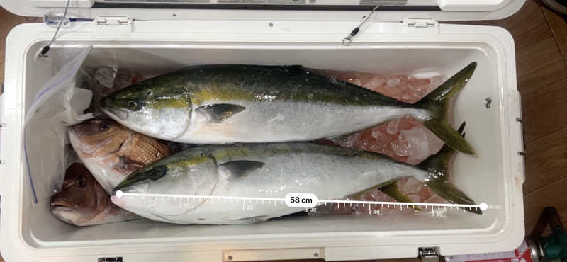 なかむ〜さんのはだの・湯河原温泉 万葉の湯のサ活写真