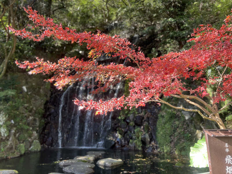 なかむ〜さんの箱根湯本温泉 天成園のサ活写真