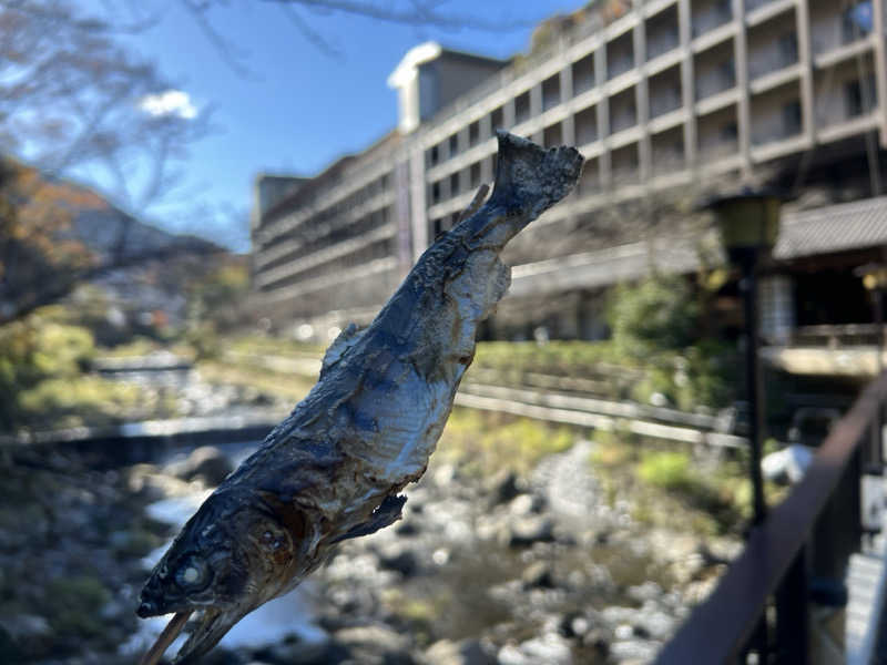 なかむ〜さんの箱根湯本温泉 天成園のサ活写真