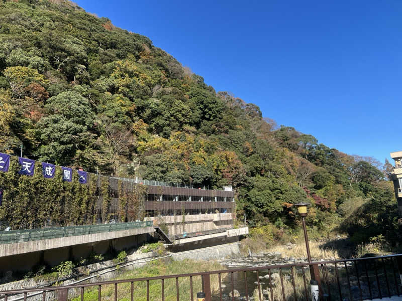 なかむ〜さんの箱根湯本温泉 天成園のサ活写真