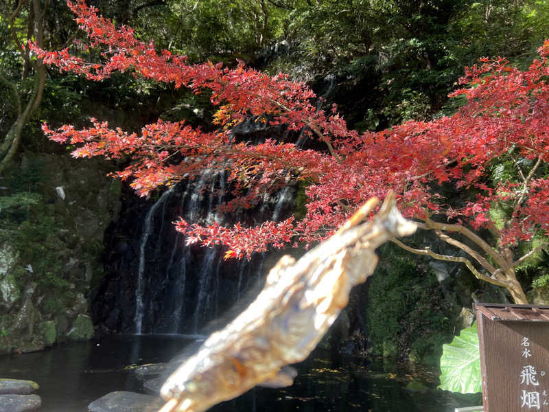 なかむ〜さんの箱根湯本温泉 天成園のサ活写真