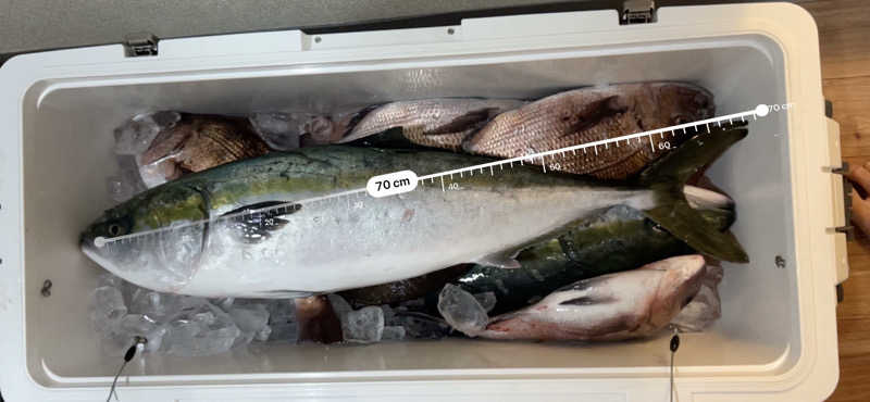 なかむ〜さんの沼津・湯河原温泉 万葉の湯のサ活写真