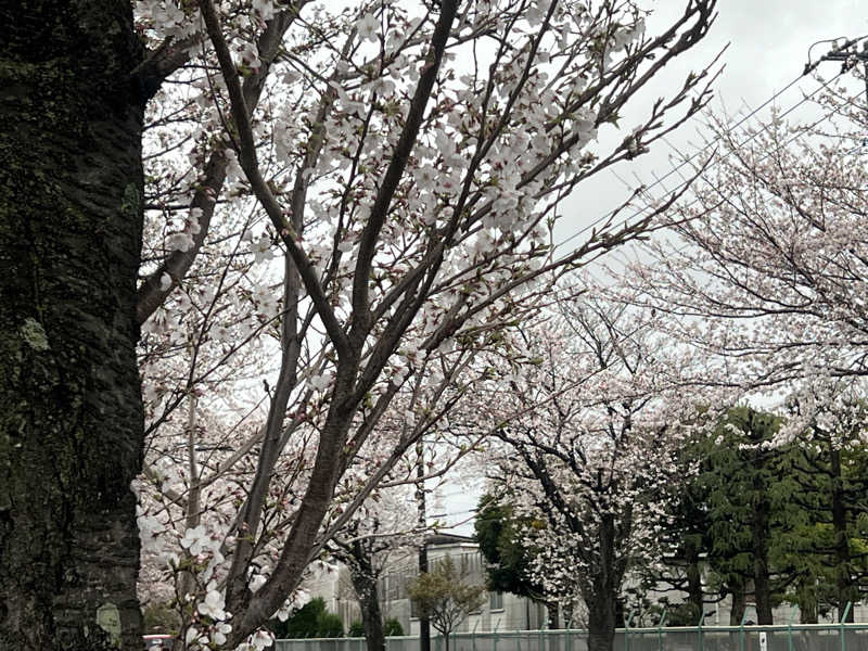 なかむ〜さんのSAUNA&SPA 湯花楽秦野店のサ活写真