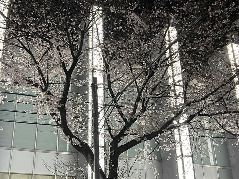 なかむ〜さんのSAUNA&SPA 湯花楽秦野店のサ活写真