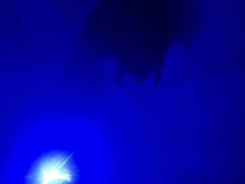 なかむ〜さんの山賊サウナのサ活写真