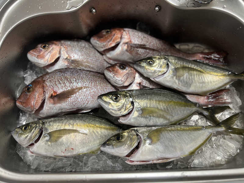 なかむ〜さんの源泉掛け流し温泉 妻湯のサ活写真