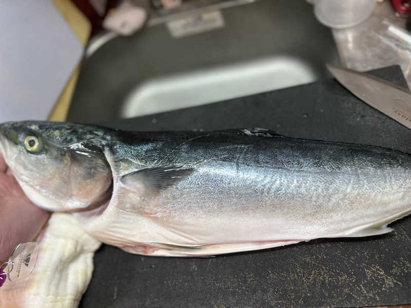 なかむ〜さんの山賊サウナのサ活写真