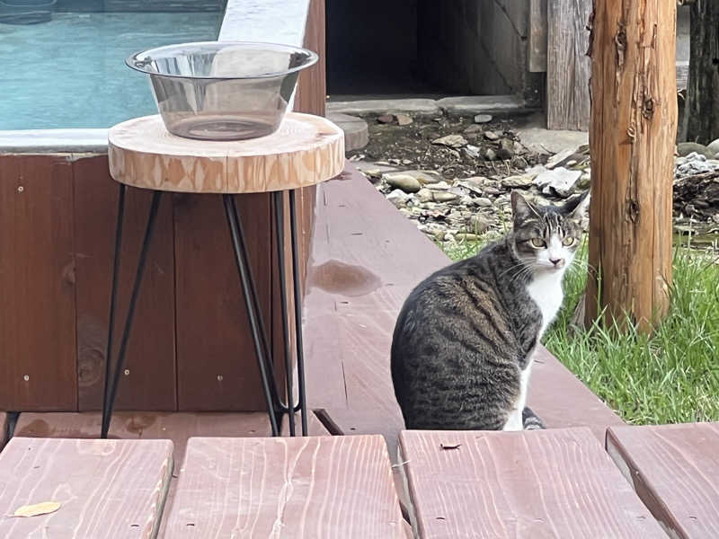 なかむ〜さんの茶臼原ひみつのサウナのサ活写真