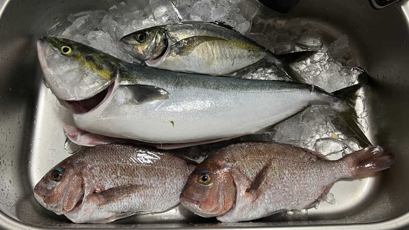 なかむ〜さんの山賊サウナのサ活写真