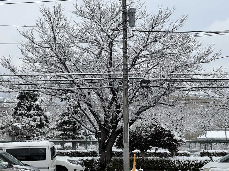 なかむ〜さんのととのいの郷 秦野湯花楽のサ活写真