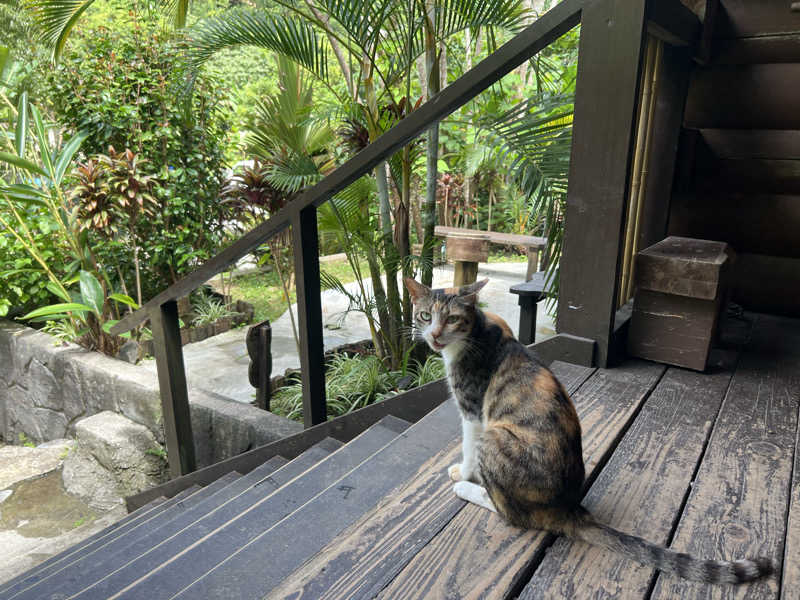 なかむ〜さんの亜熱帯サウナのサ活写真