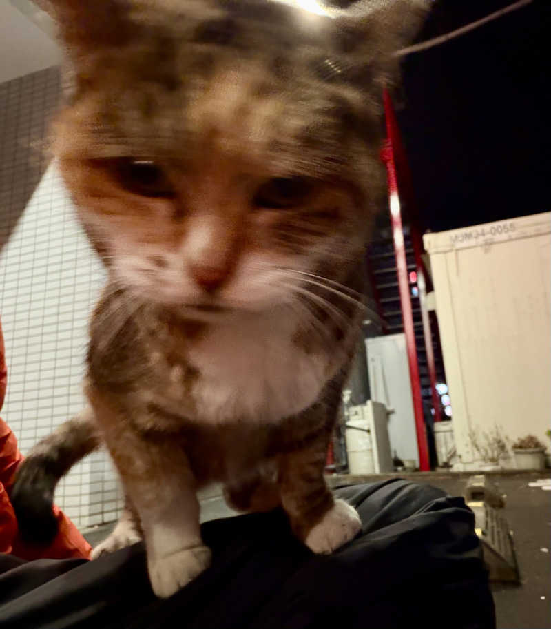 じもんさんの小松湯のサ活写真