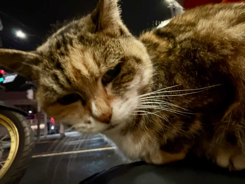 じもんさんの小松湯のサ活写真