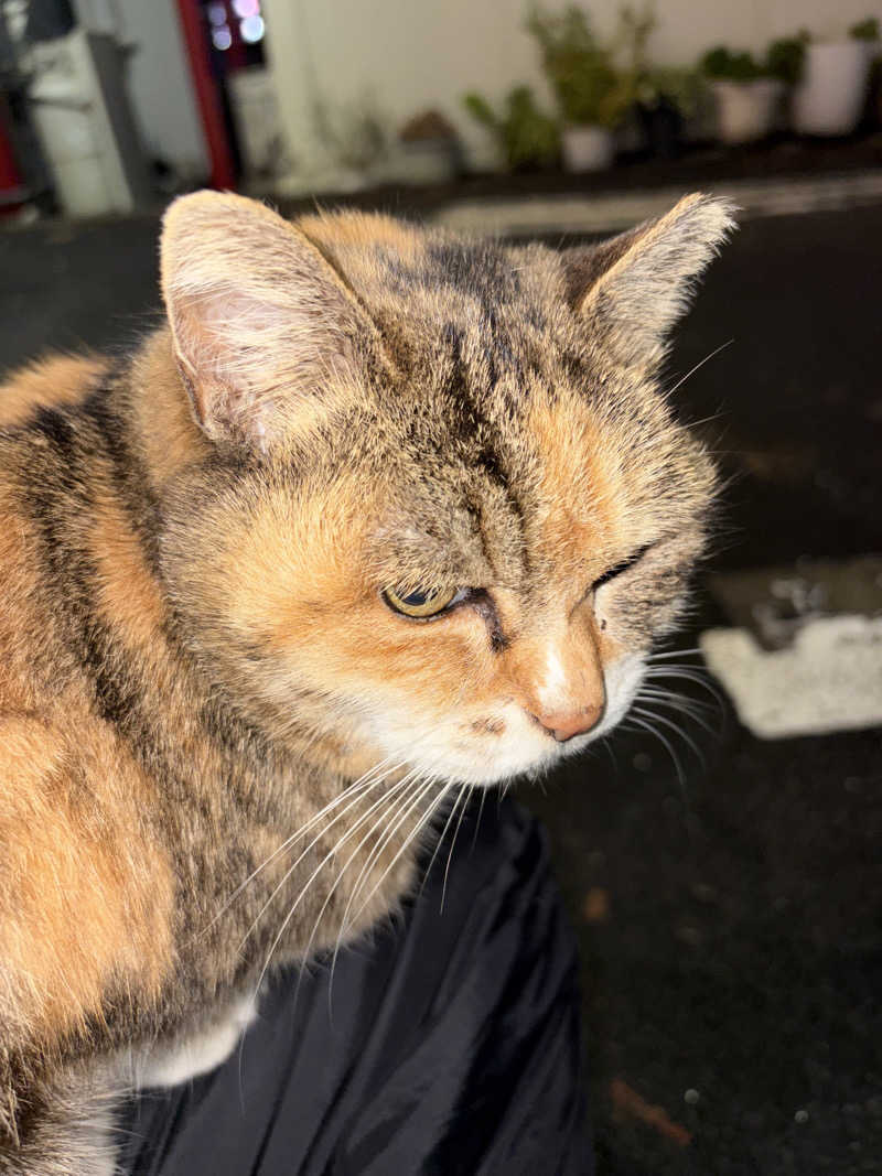 じもんさんの小松湯のサ活写真