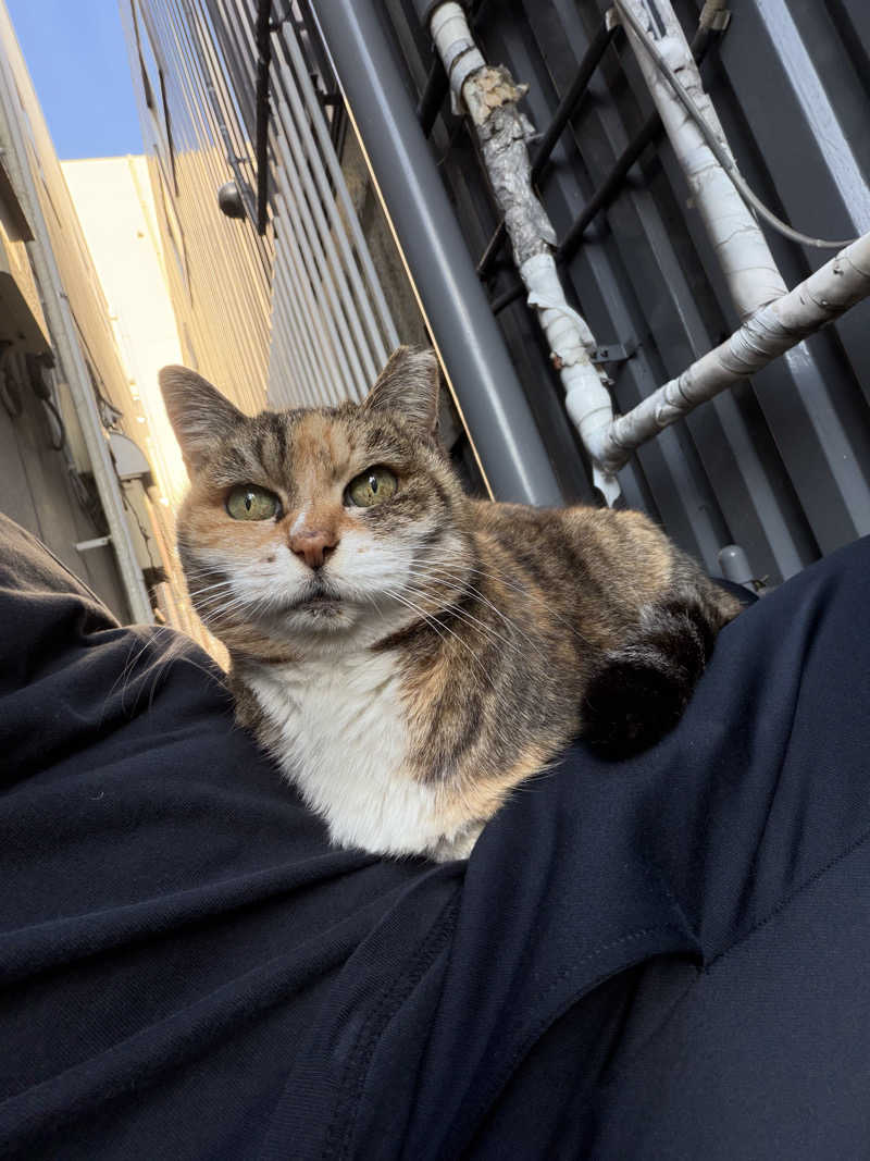 じもんさんの鷲の湯のサ活写真