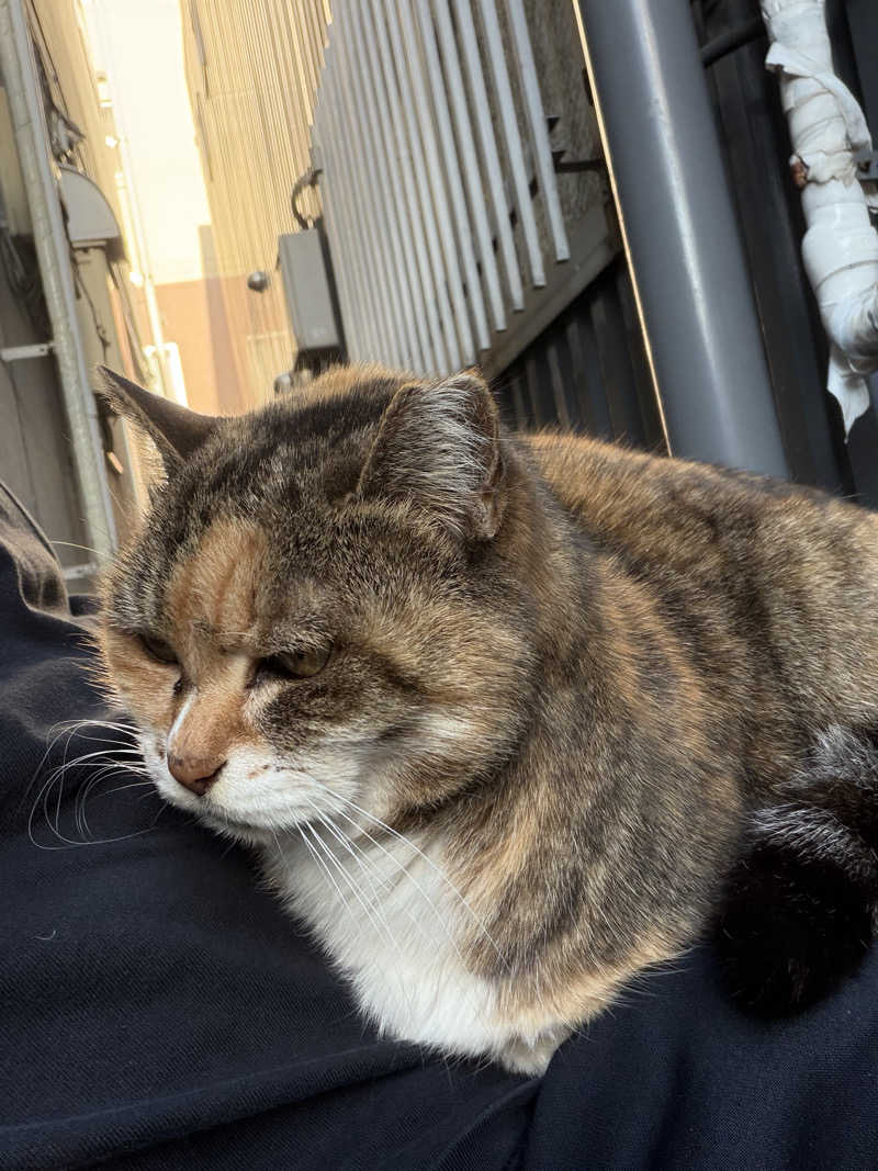 じもんさんの鷲の湯のサ活写真