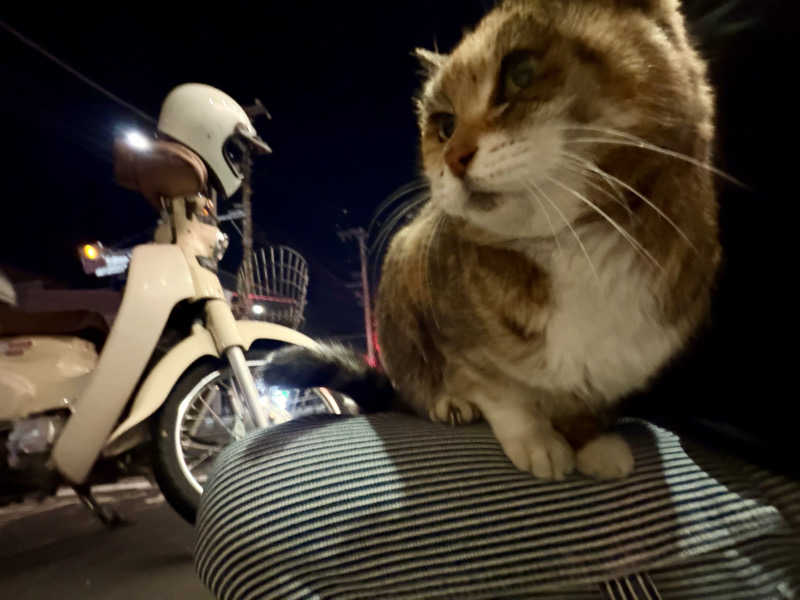 じもんさんの恵びす温泉のサ活写真