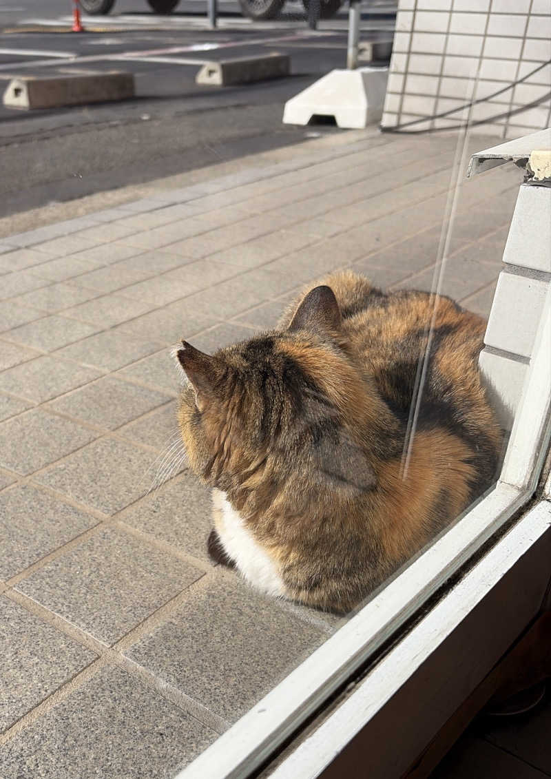 じもんさんの小松湯のサ活写真