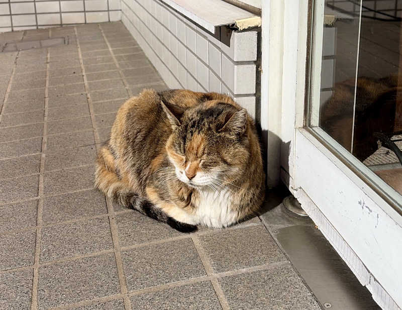 じもんさんの小松湯のサ活写真