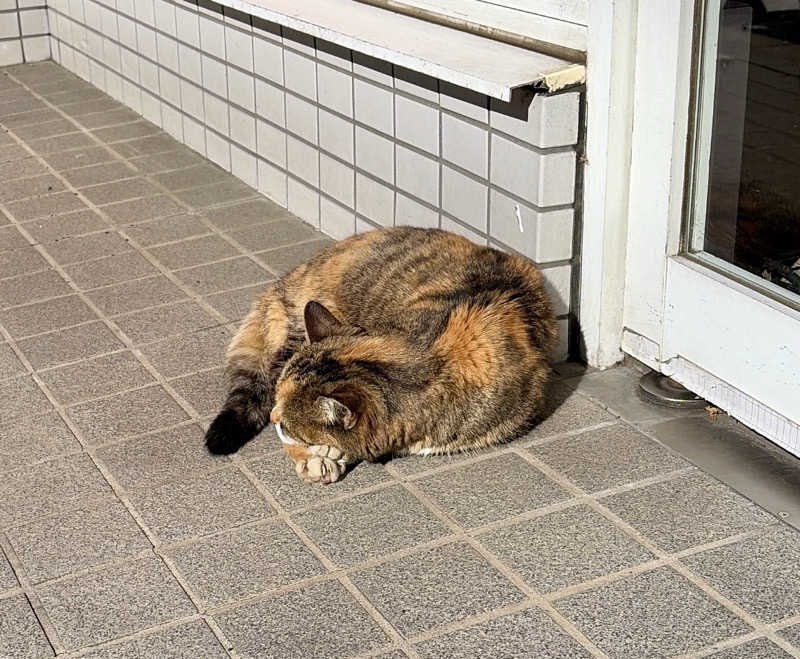 じもんさんの小松湯のサ活写真