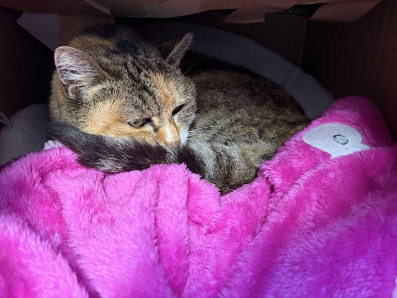 じもんさんの毎日サウナ 八王子店のサ活写真