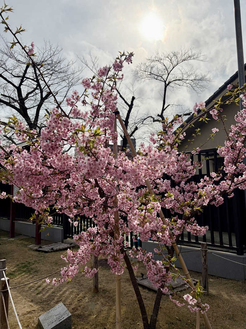 じもんさんのホテル ステーション スリーのサ活写真