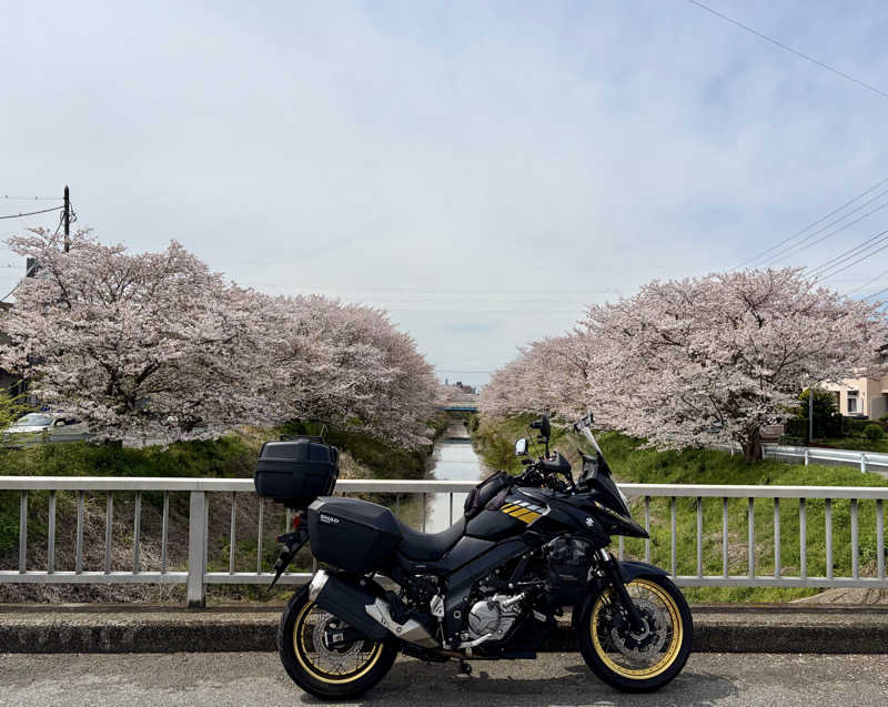 ふわふわニキさんのサウナきさらづ つぼやのサ活写真