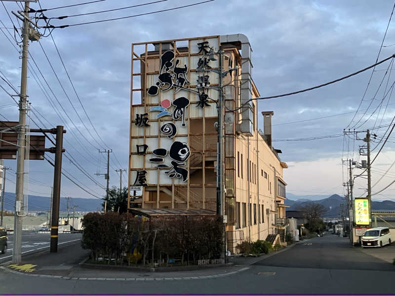 つむぐさんの駿河の湯 坂口屋のサ活写真