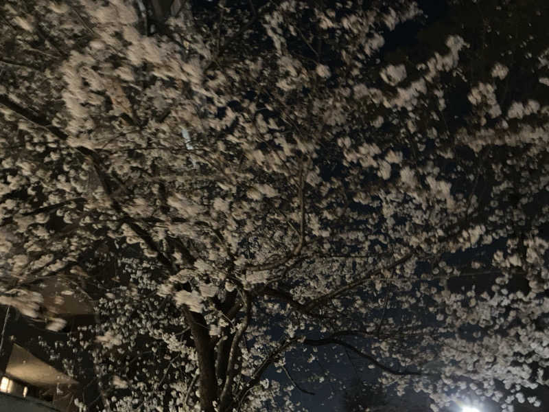 つむぐさんの松見湯のサ活写真