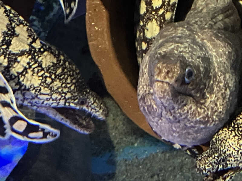 つむぐさんの人蔘湯のサ活写真