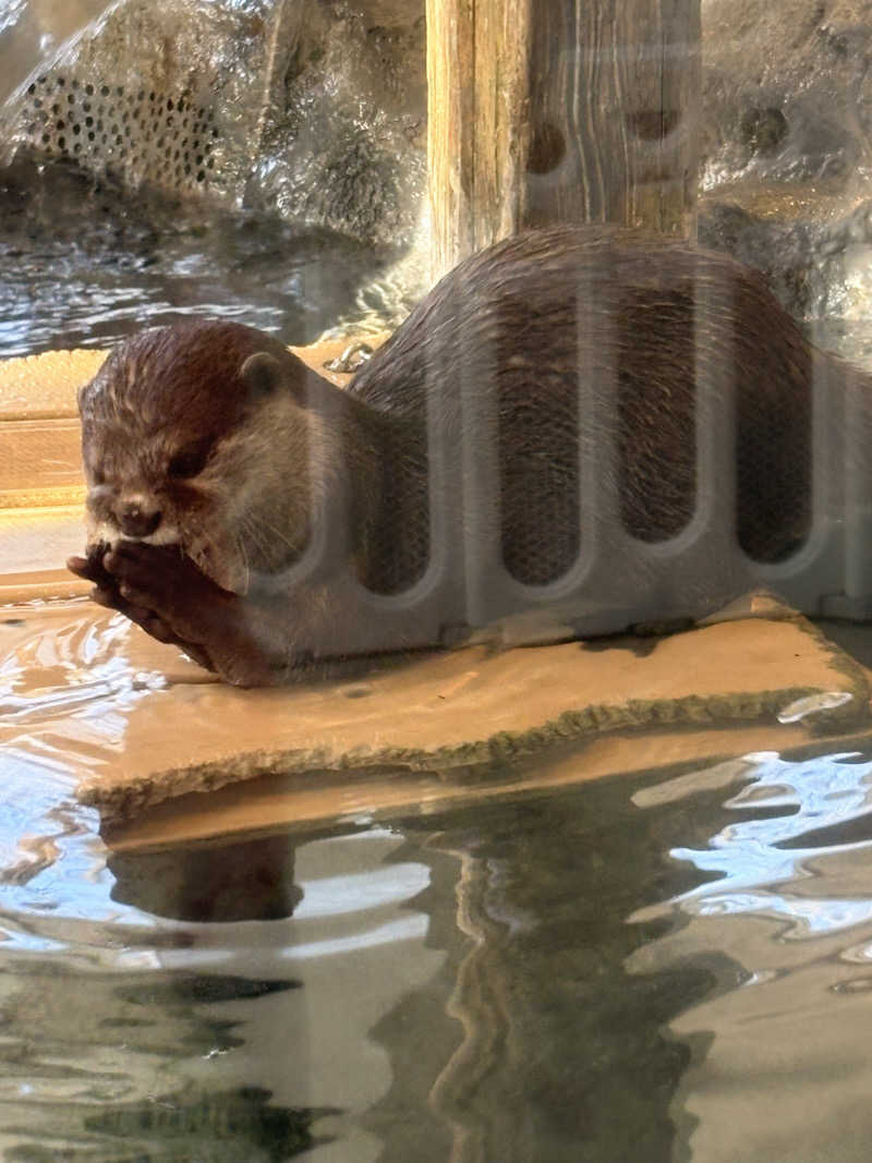 しろばらださんのよみうりランド眺望温泉 花景の湯のサ活写真