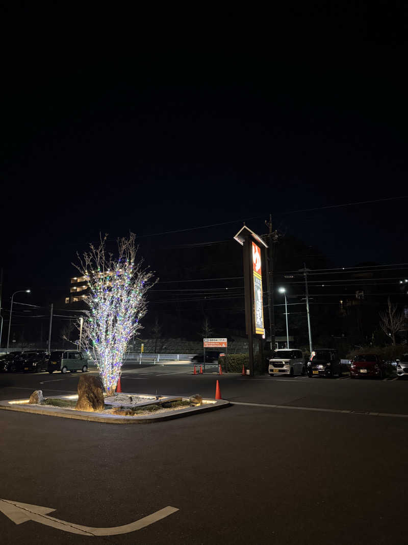ぴーゆーさんの天空SPA HILLS 竜泉寺の湯 名古屋守山本店のサ活写真
